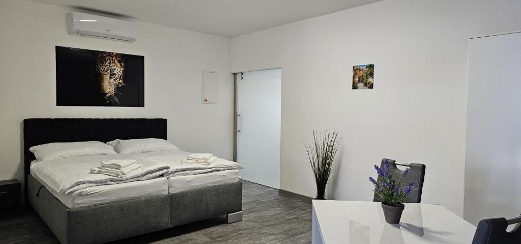 Apartmany Venuse Ostrawa Zewnętrze zdjęcie